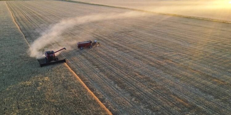 agronegócio brasileiro
