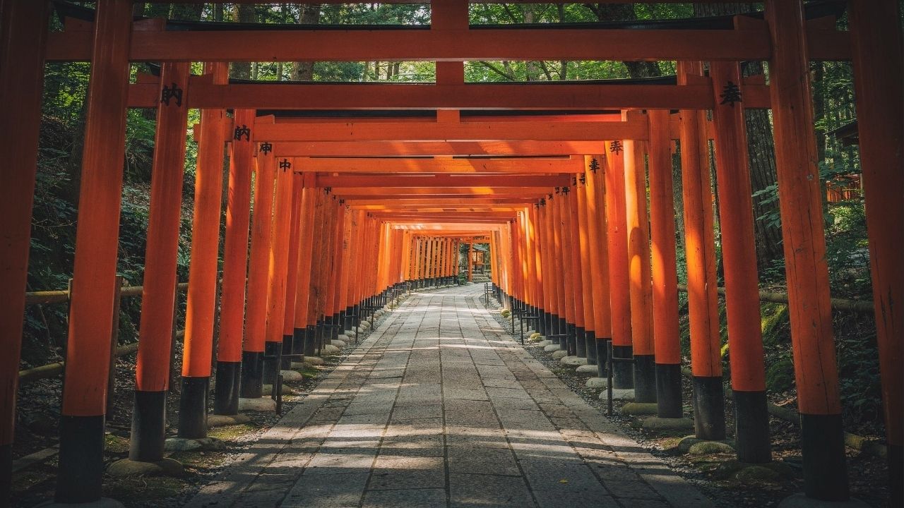 Com milhares de portais torii vermelhos que serpenteiam a montanha, o santuário de 711 tornou-se o caminho espiritual mais visitado de todo o Japão