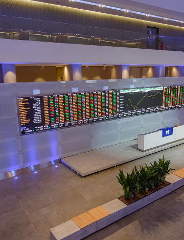 INVESTIDORES INSTITUCIONAIS NA B3