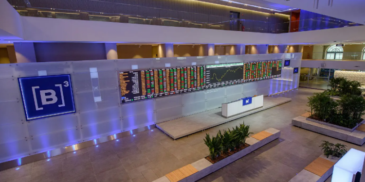 INVESTIDORES INSTITUCIONAIS NA B3