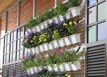 Montar jardim vertical em casa exige escolhas certas para não pesar no bolso depois