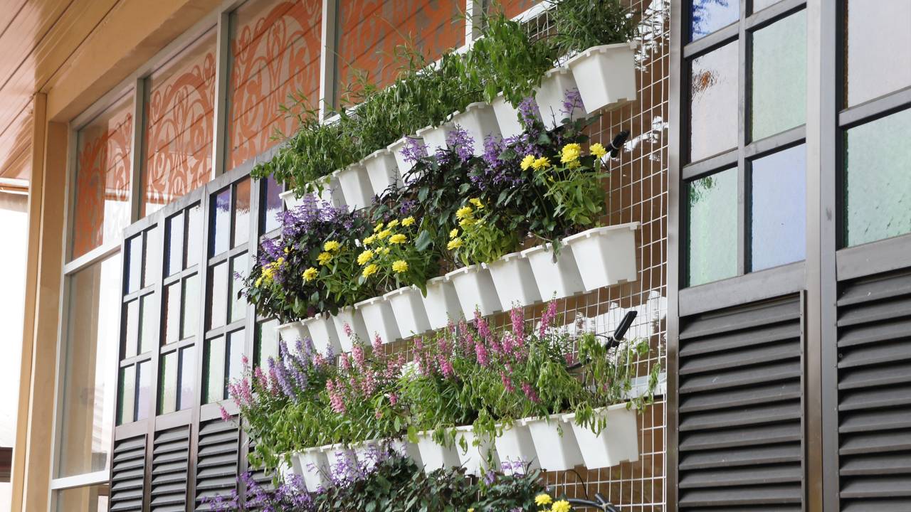 Montar jardim vertical em casa exige escolhas certas para não pesar no bolso depois
