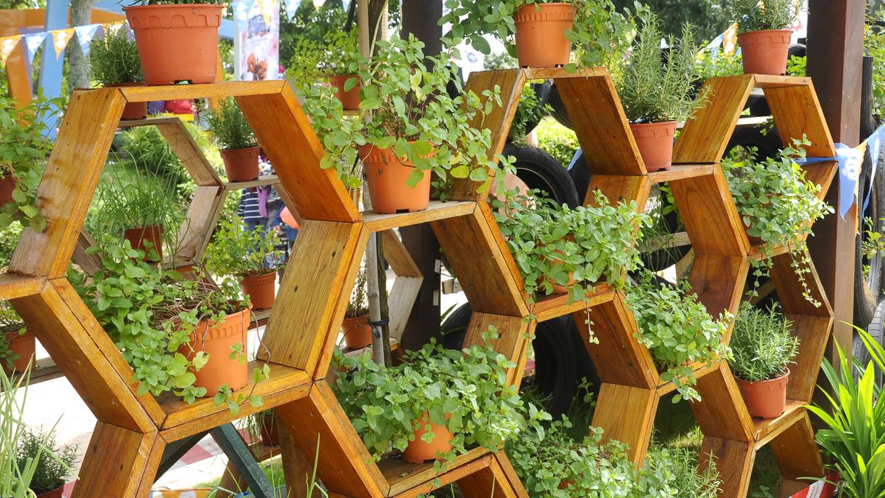 Montar jardim vertical em casa exige escolhas certas para não pesar no bolso depois