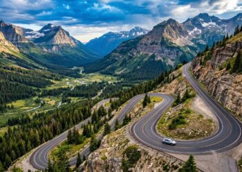 Rodovia no Alasca ganha fama por suas águias, pois seus 244 km de extensão atravessam picos nevados e a maior reserva de águias-carecas do mundo