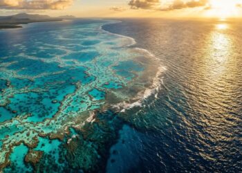 A única estrutura viva visível do espaço: o colossal recife de 2.300 km que funciona como a "megacidade" dos oceanos