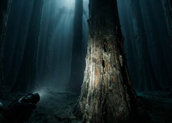 Floresta zumbi ressurge no fundo do oceano após 60 mil anos e cientistas isolam remédios inéditos