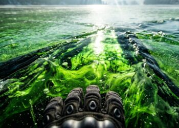 Lago congela misteriosamente com cor verde fluorescente e biólogos revelam o culpado bizarro
