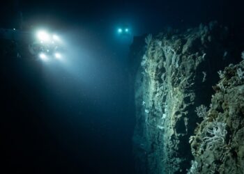 O cânion colossal e invisível que corta o fundo do oceano e é muito mais largo e profundo que o Grand Canyon