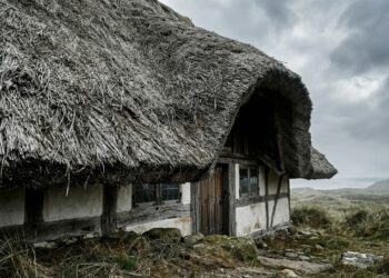 Telhados de algas marinhas na Dinamarca oferecem durabilidade milenar e sustentabilidade