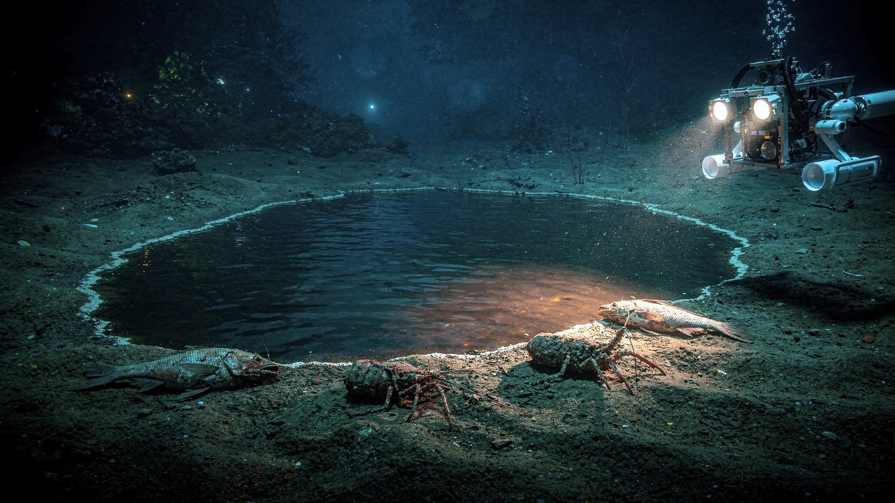 O lago mortal escondido no fundo do mar, onde a água é tão tóxica e salgada que mumifica qualquer criatura que entrar