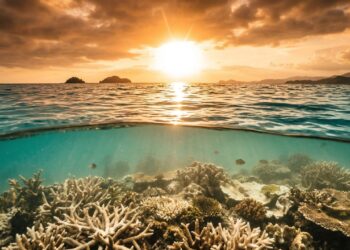 O Golfo do Panamá sofre apagão misterioso e águas frias deixam de subir à superfície assustando especialistas