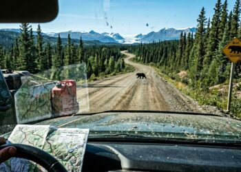 Rodovia no Canadá ganha fama por suas florestas, pois seus 1.080 km de extensão unem o Yukon ao Alasca entre picos nevados e ursos selvagens