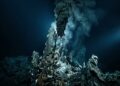 As fontes hidrotermais oceânicas profundas são os ambientes mais extremos do planeta Terra e abrigam formas de vida fascinantes