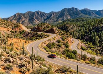 Rodovia no Arizona ganha fama por seus ecossistemas, pois sobe 1.800 metros em 43 km, transformando o deserto em uma floresta de pinheiros
