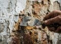 A parede descascando tem solução sem quebrar tudo: 3 técnicas que os profissionais usam