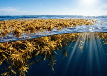 O único mar do mundo que não possui nem um grão de areia e desafia todas as leis da geografia