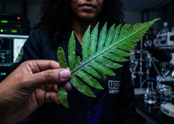 Cientistas chineses descobrem a 1 única planta do mundo capaz de sugar metais preciosos e terras raras do solo