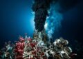 As profundezas dos vulcões submarinos escondem segredos que ignoram a luz do sol para prosperar no fundo do oceano