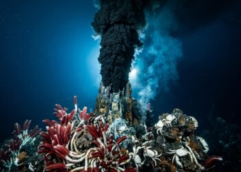 As profundezas dos vulcões submarinos escondem segredos que ignoram a luz do sol para prosperar no fundo do oceano