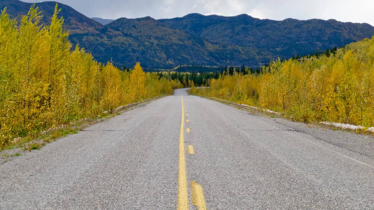 Rodovia no Canadá ganha fama por suas florestas, pois seus 1.080 km de extensão unem o Yukon ao Alasca entre picos nevados e ursos selvagens