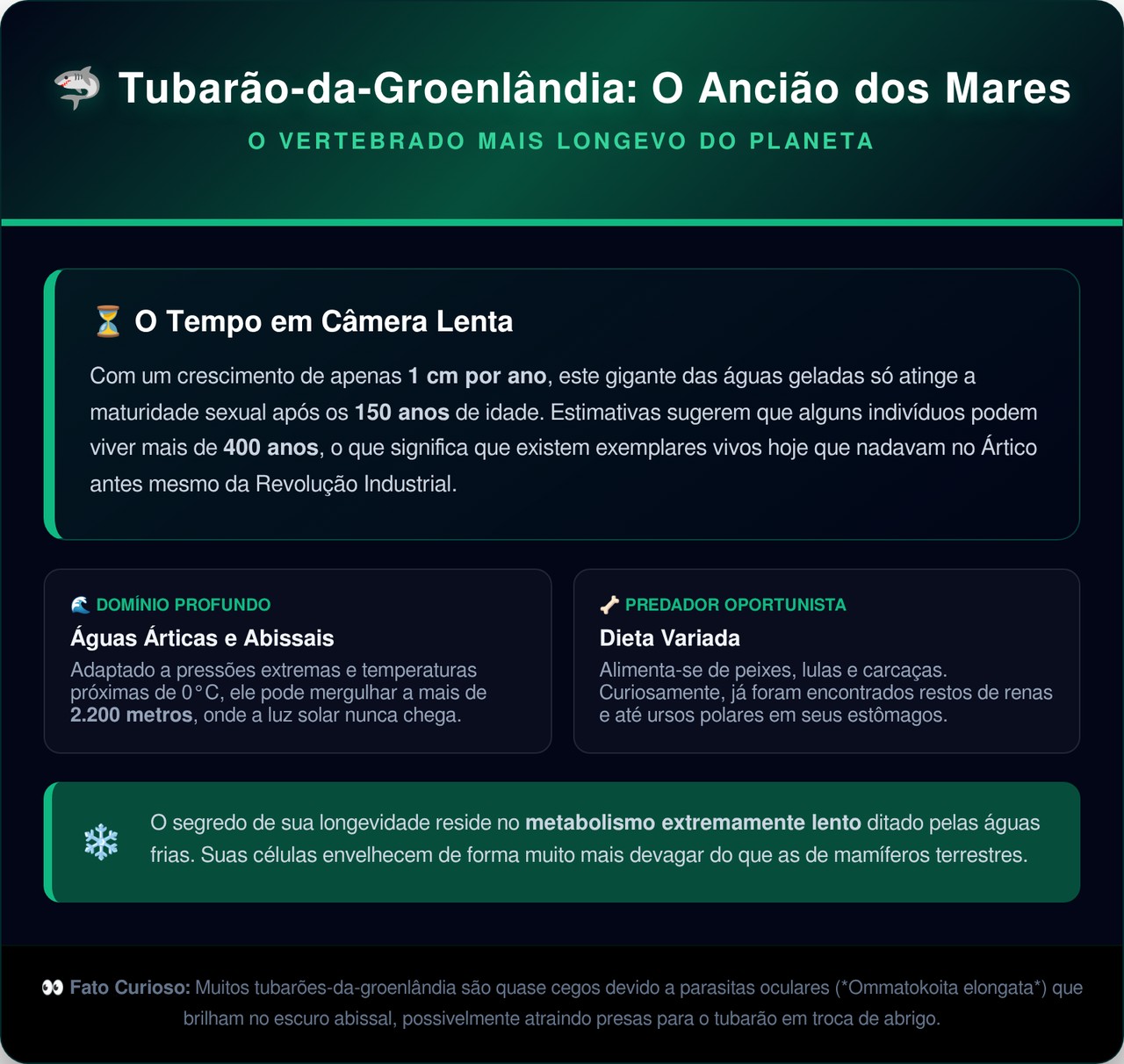 Cientistas confirmaram que tubarões da Groenlândia vivem mais de 400 anos nas águas geladas