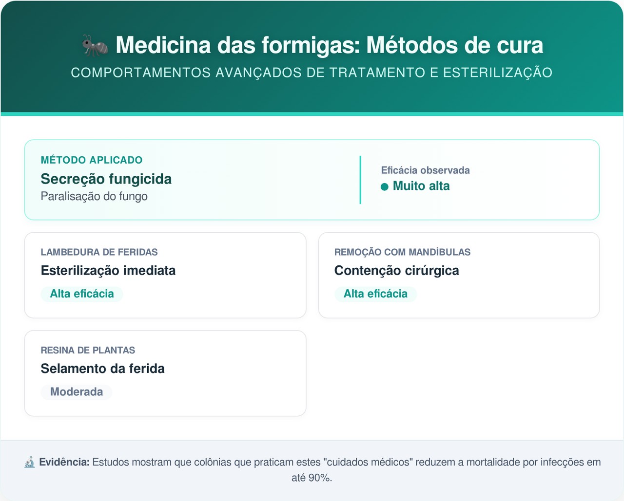 Formigas Zumbis estão usando antibióticos naturais para salvar a própria colônia de fungos assassinos