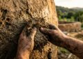 Sem tijolos nem blocos: o método manual de esculpir casas usando apenas uma mistura crua de argila, areia e palha