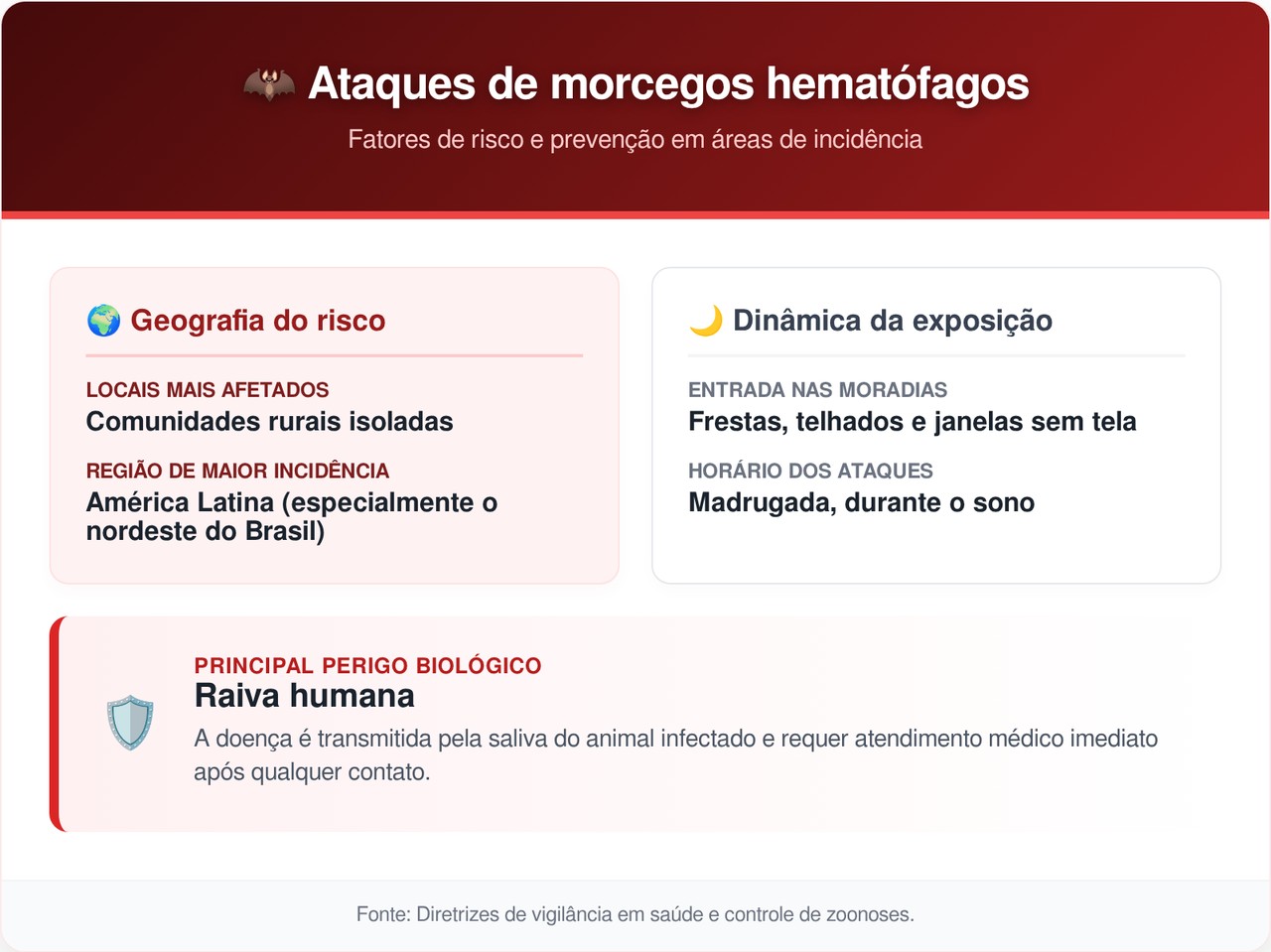 Morcegos Vampiros estão mudando de dieta e começaram a caçar seres humanos em vilarejos isolados