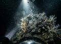 Geólogos mapeiam vulcão de lama submarino gigante e descobrem ecossistema bizarro a prosperar na escuridão