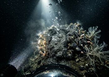 Geólogos mapeiam vulcão de lama submarino gigante e descobrem ecossistema bizarro a prosperar na escuridão