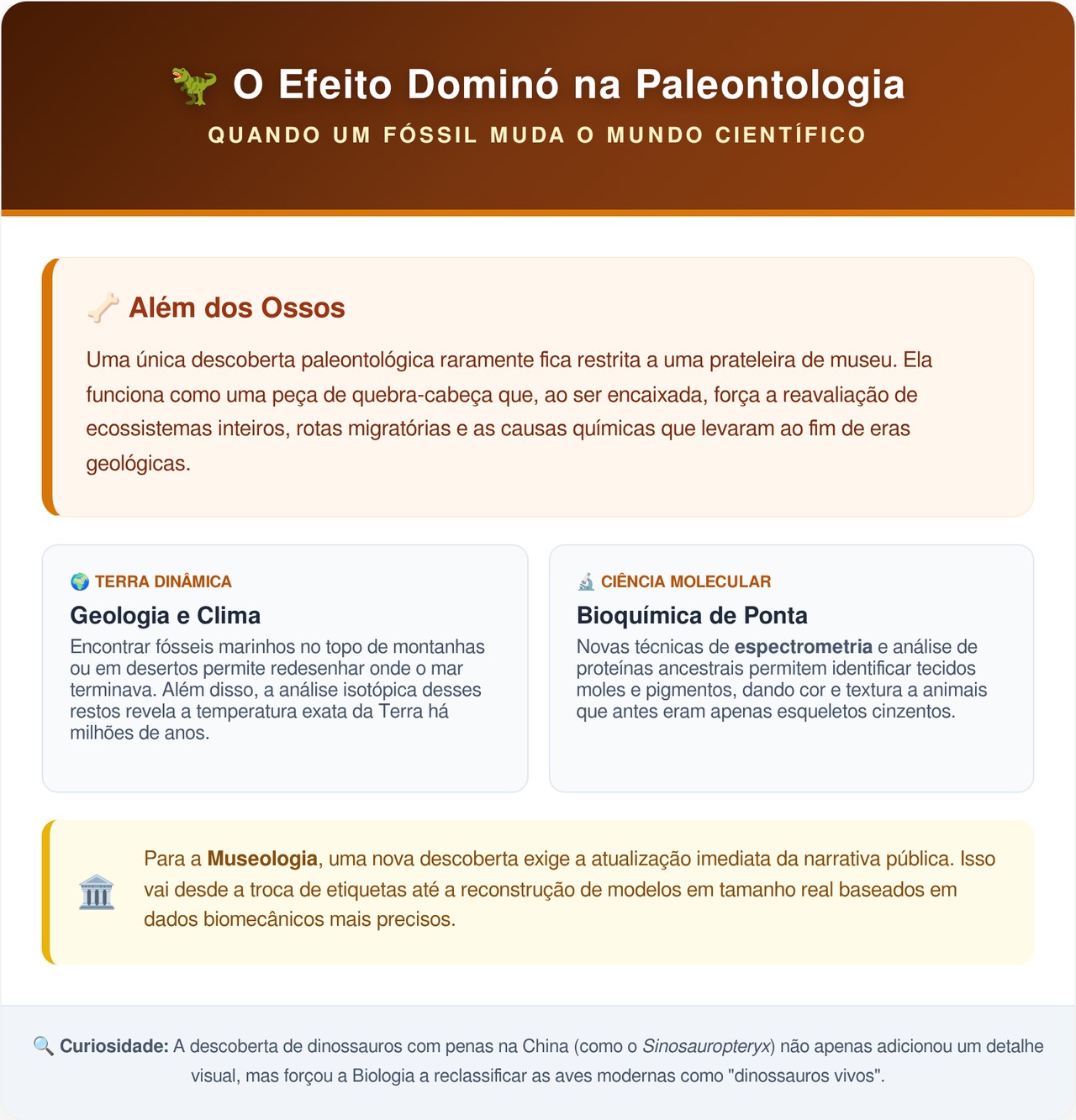 Ossos mantidos em museu por 70 anos como sendo de mamutes são na verdade de baleias gigantes encontradas misteriosamente a 400 km da costa