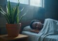 Escolher as plantas certas para o quarto consegue filtrar até 80% das toxinas do ar e garante noites de sono mais profundas, com um investimento de apenas 50 reais por vaso em 2026