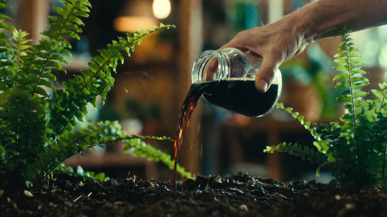 O poderoso adubo orgânico de casca de banana que ressuscita até as plantas mais secas em poucos dias