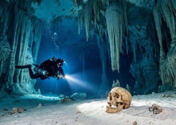 Mapeando 347 quilômetros de cavernas inundadas, a expedição subaquática encontrou fósseis humanos e fogueiras intactas de aproximadamente 10 mil anos sob as florestas da América Central