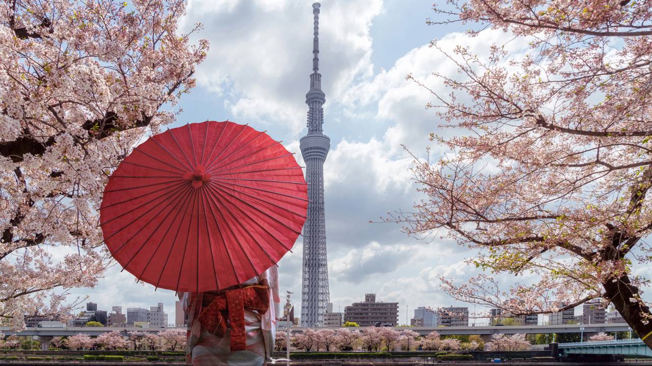 Com 634 metros de altura e tecnologia antissísmica, a torre de 2012 em Tóquio tornou-se a estrutura autoportante mais alta e tecnológica do mundo