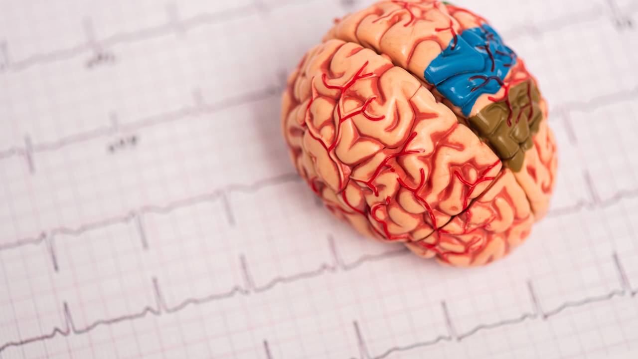 O cérebro humano é capaz de gerar eletricidade suficiente para acender uma lâmpada e mantém seu corpo funcionando