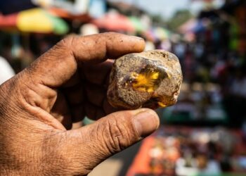 Ela persuadiu imediatamente o Instituto Dexu de Paleontologia a adquirir a joia antes que ela fosse lixada, polida e vendida como um mero adereço de luxo para turistas