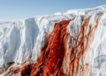 Cascata de água vermelha escorrendo sobre o gelo branco da Antártida.