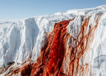 Cascata de água vermelha escorrendo sobre o gelo branco da Antártida.