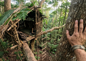 Cabana orgânica construída no topo de uma árvore colossal sob a luz dourada da floresta.