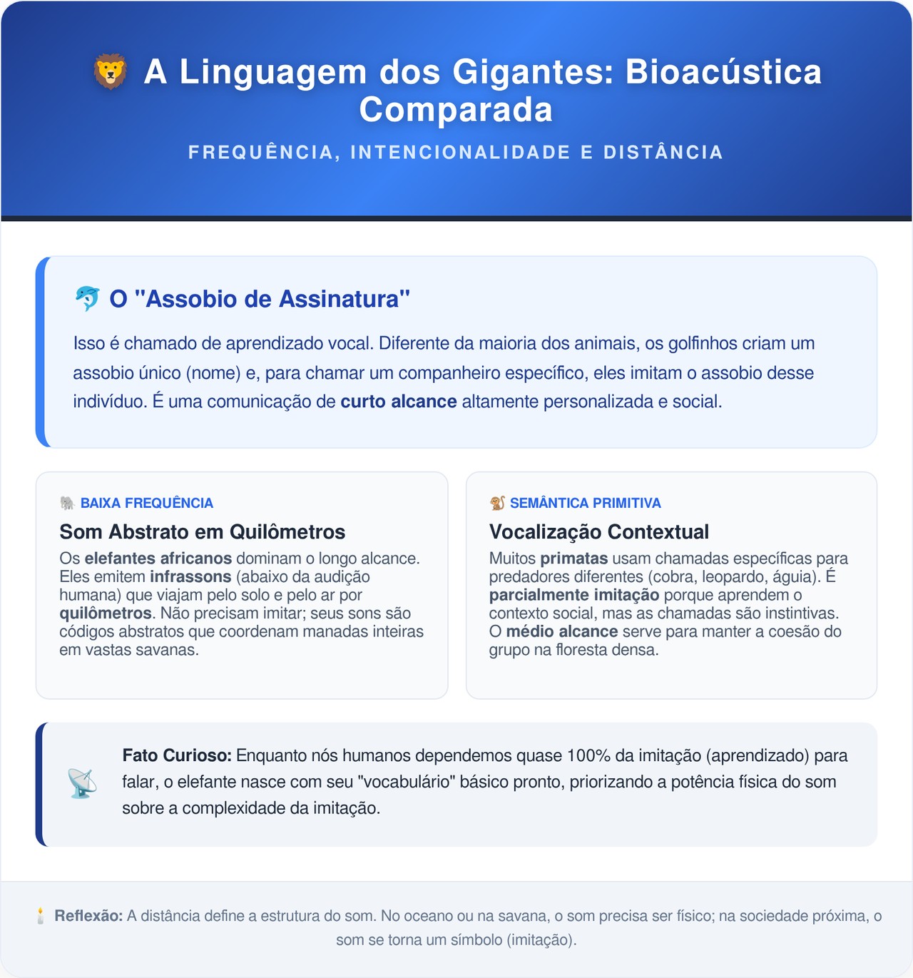 A Universidade do Colorado provou que elefantes chamam uns aos outros por nome usando sons que o ouvido humano quase não escuta