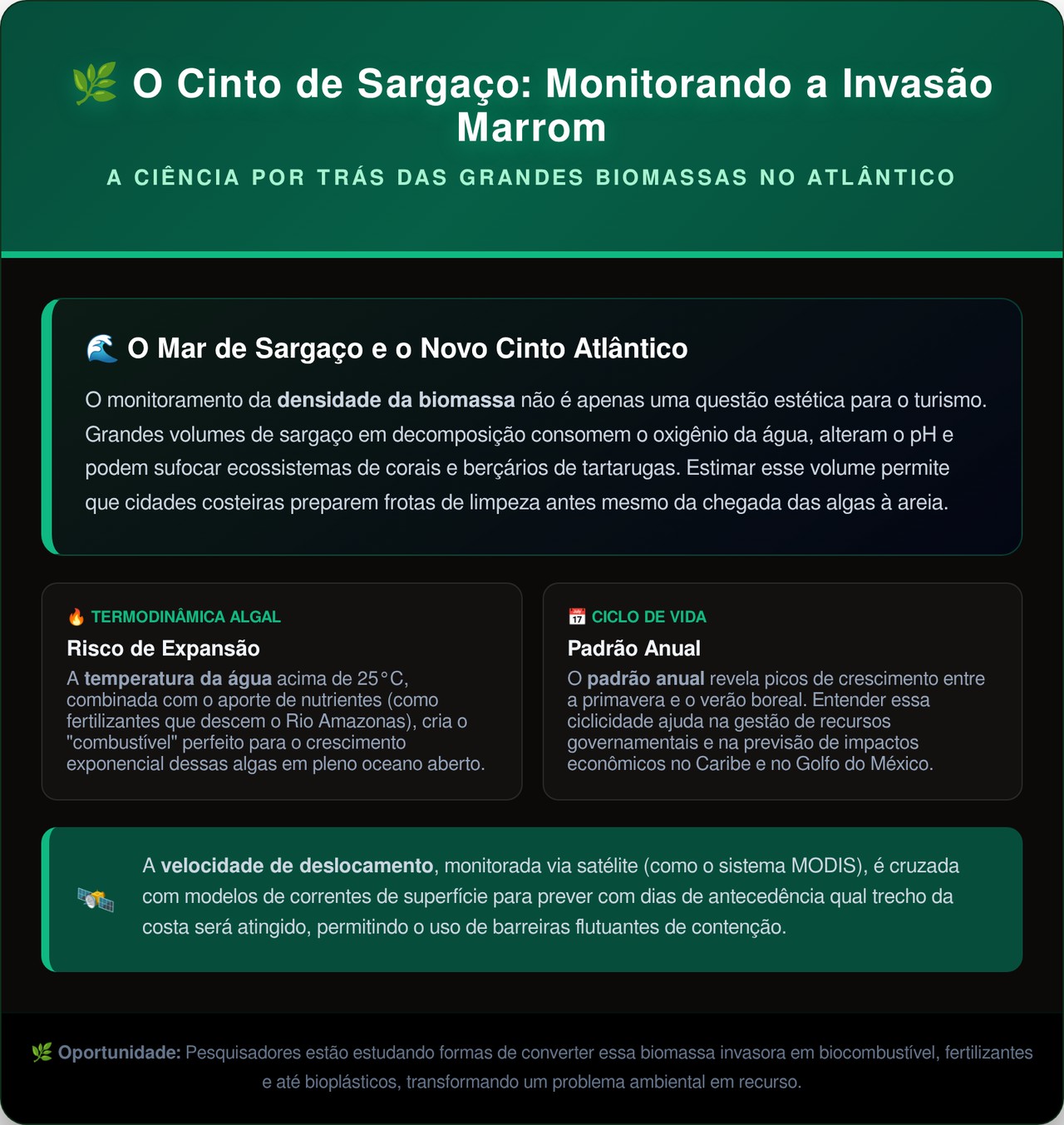 A colossal faixa marrom visível do espaço: cientistas alertam sobre cinturão gigante de algas que se formou no Oceano Atlântico e ameaça as praias