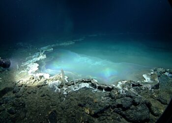Localizado a 3.000 metros no fundo do oceano, o lago subaquático tóxico que mumifica as suas presas instantaneamente desafia a biologia marinha atual