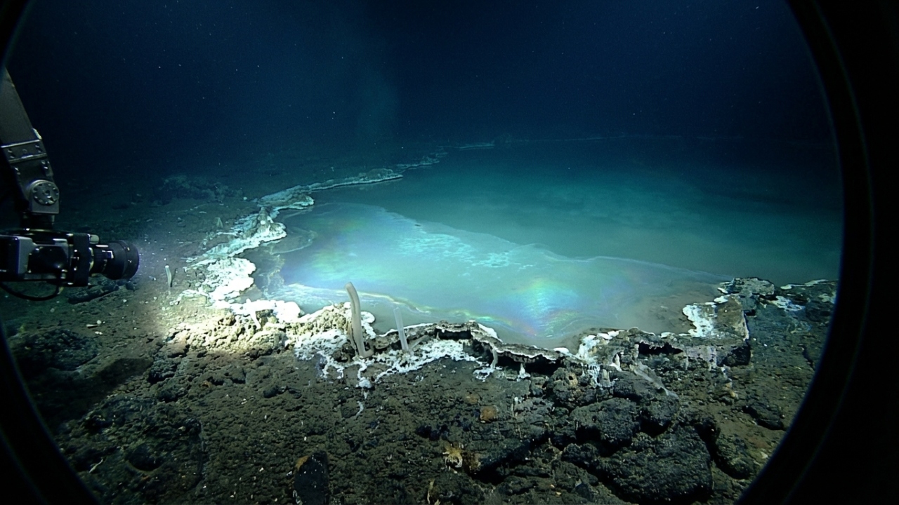 Localizado a 3.000 metros no fundo do oceano, o lago subaquático tóxico que mumifica as suas presas instantaneamente desafia a biologia marinha atual
