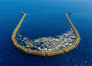 Você já imaginou que uma ideia de colégio virasse o maior megaprojeto de limpeza dos oceanos?