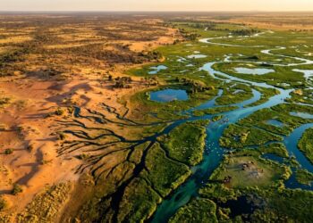 Existe um rio que nasce nas terras altas de Angola, atravessa a Namíbia e percorre mais de 1.000 km até chegar a Botsuana, onde faz algo que nenhum outro grande rio do mundo faz da mesma forma: desaparece completamente no meio do deserto