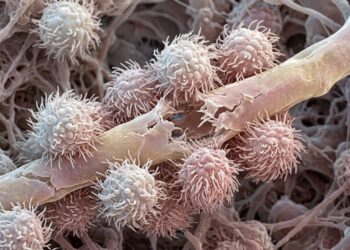 Robôs feitos de células humanas já estão curando nervos danificados em laboratório