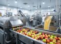 Com 1.500 kg de maçãs lavadas e prensadas, a engenharia industrial extrai cerca de 1.050 litros do suco puro da fruta