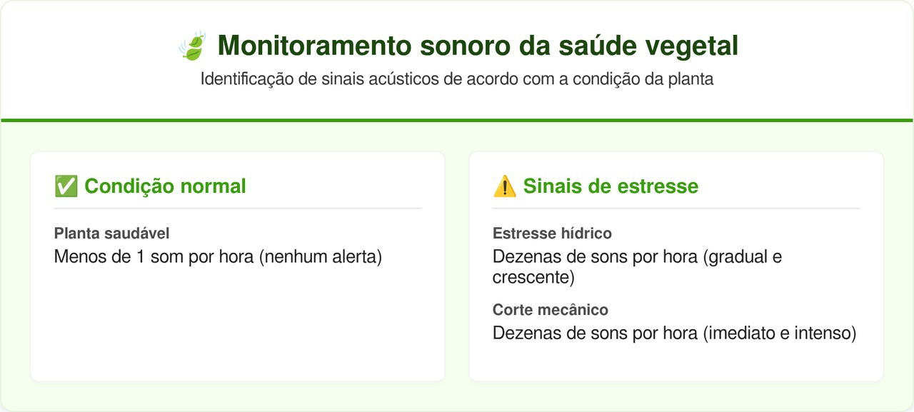 As plantas gritam quando estão com sede e a ciência finalmente conseguiu provar isso