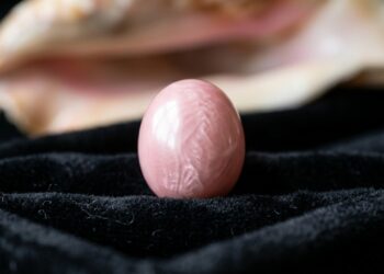 Esqueça as ostras, pois esta joia nasce em caracóis gigantes, não possui nácar e brilha com um tom rosa único sendo uma das mais raras do mar